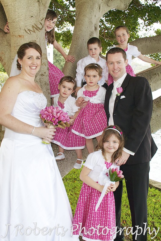 Flower girls and paige boy sitting in a tree with bride and groom - wedding photography sydney 